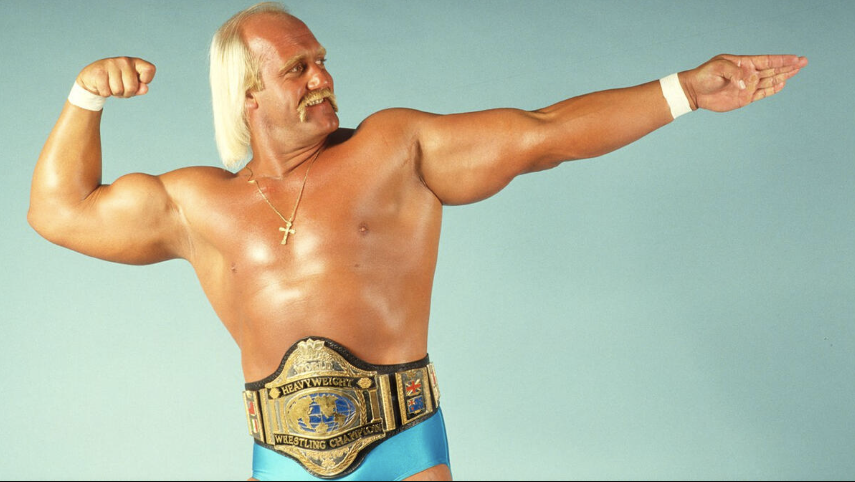 Hulk Hogan WWF Champion