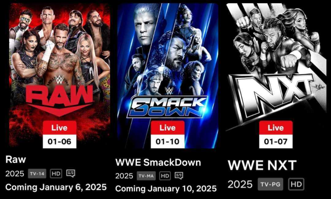 WWE Netflix graphic