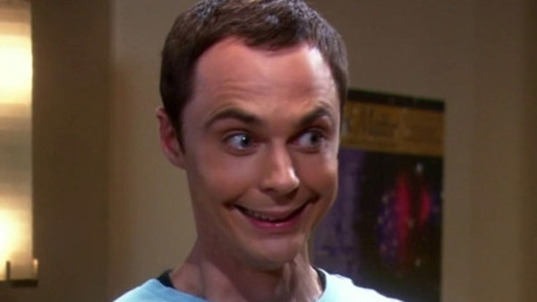 Sheldon The Big Bang Theory Ross Friends