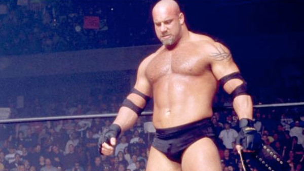 Goldberg World Heavyweight Champion