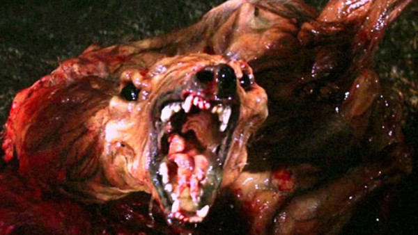 The Thing Dog