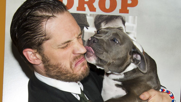 Tom Hardy This Means War