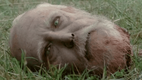 The Walking Dead Michonne Season 9