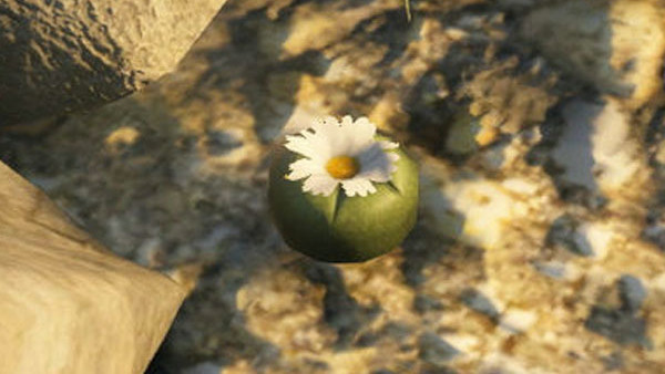 gta 5 peyote plants gta v peyote plants