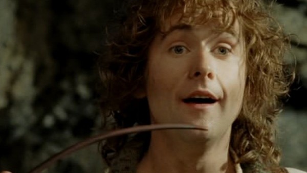 Lord Of The Rings Samwise Frodo