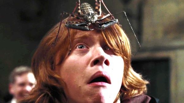 ron weasley harry potter scared spider