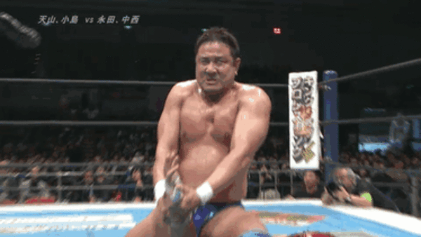 Hiroshi Tanahashi IWGP Heavyweight Champion