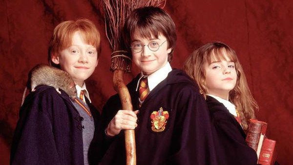Harry Potter The Dursley Family