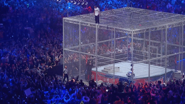 Shane McMahon Dove Off Of Cage.gif