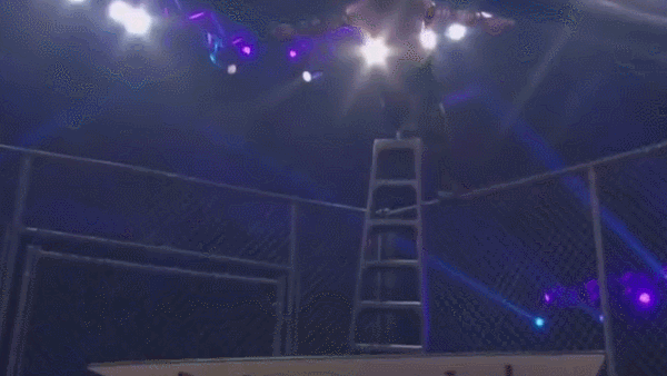 Jeff Hardy Off The Cage Dive TNA Impact Six Sides of Steel