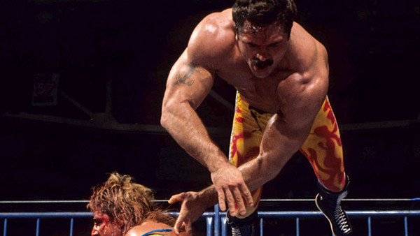 Bret Hart British Bulldog SummerSlam 1992