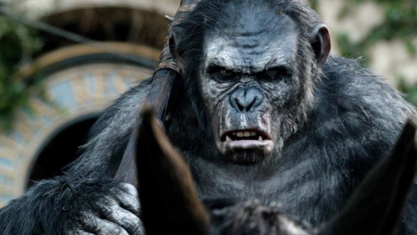 Dawn Of The Planet Of The Apes Koba