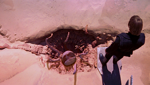 Star Wars Return of the Jedi Luke Skywalker Sarlacc Pit