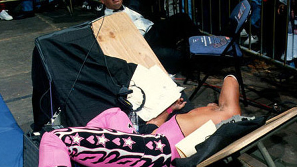Bret Hart Diesel Survivor Series 95