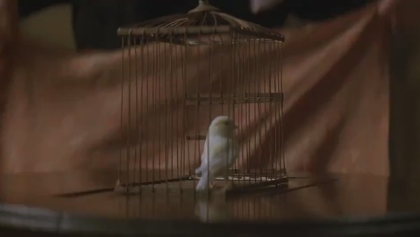 The Prestige Bird Cage Trick
