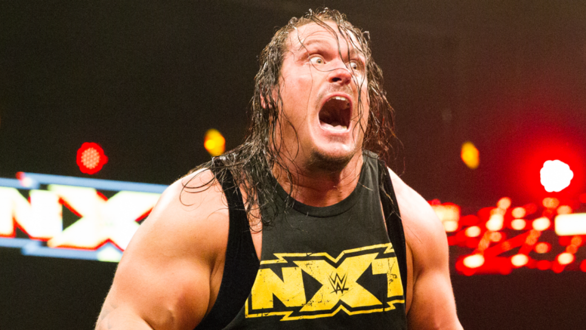 10 Things Wwe Wants You To Forget About Rhyno