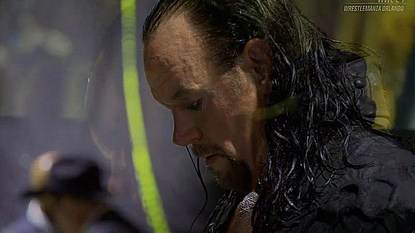The Undertaker WWE 24