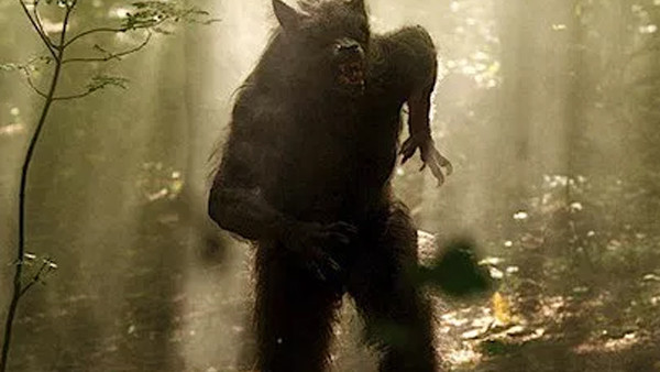 Bigfoot Film Patterson Gimlin