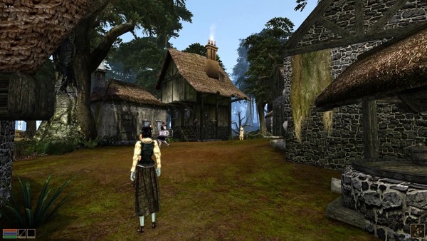 Elder Scrolls Morrowind