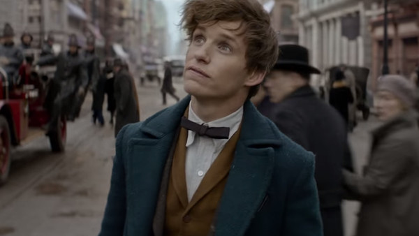 Newt Scamander Harry Potter