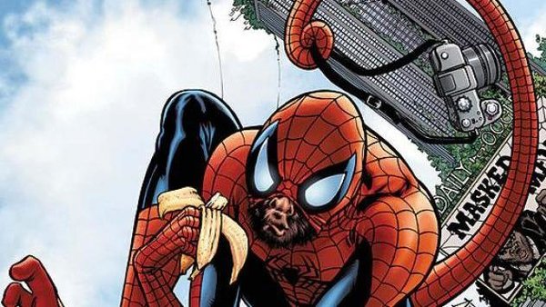 Spider Man Into The Spider Verse