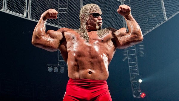 CM Punk Hulk Hogan
