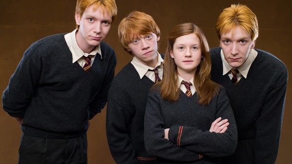 Harry Potter Ginny And The Weasley Brothers