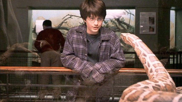 Harry Potter Sorting Hat Hermione Granger