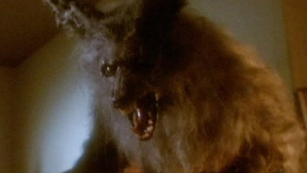 The 20 Essential Werewolf Movies