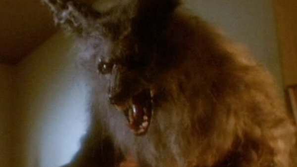 Werewolf transformation - The Howling (1981) 