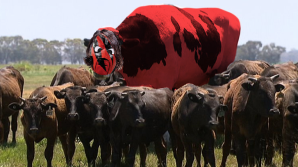 Sacred Cow Kane