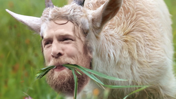 Daniel Bryan Goat II