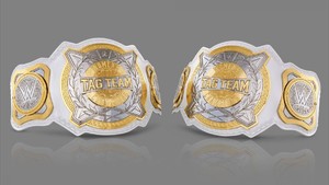 WWE Womens Tag Team Titles