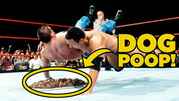 The rock dog poop British Bulldog