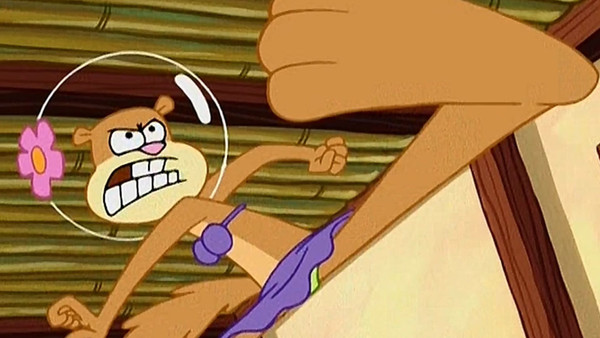 sandy from spongebob karate