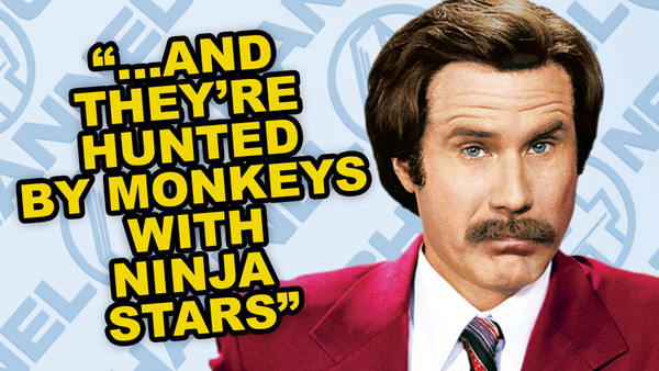 Anchorman Monkeys