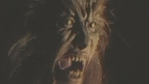 The 20 Essential Werewolf Movies