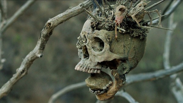 Bone Tomahawk Skull