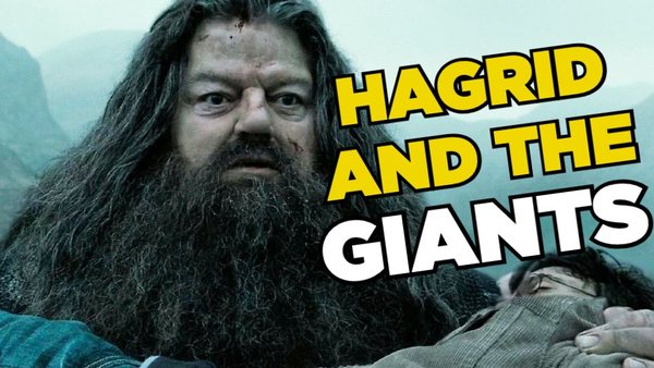 Harry Potter Hagrid 
