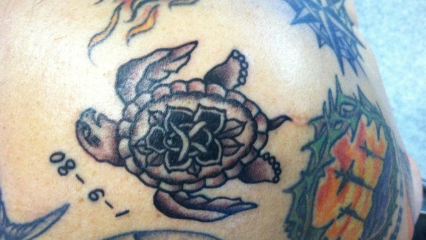 Navy Shellback Celtic knot turtle  Polynesian tattoo Shellback tattoo  Knot tattoo