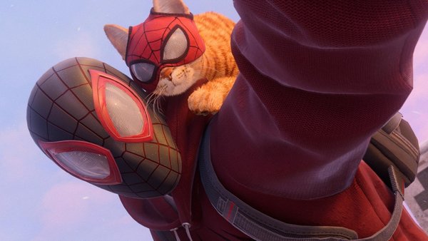 Spider-Man: Miles Morales Bodega Cat