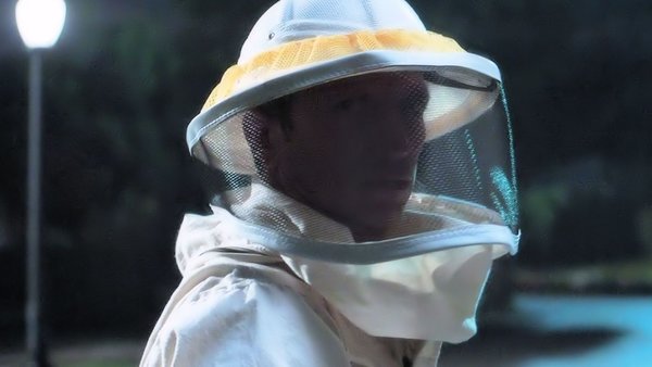 WandaVision Beekeeper