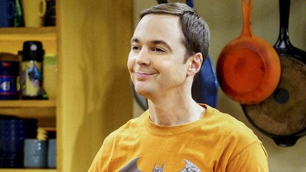 The Big Bang Theory Sheldon Cooper