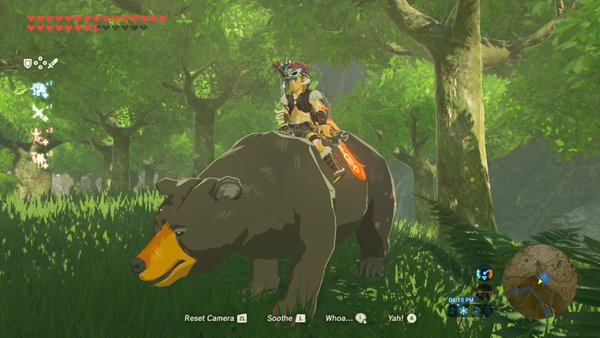 Zelda BOTW 2: 5 Ways It Could Change the Series