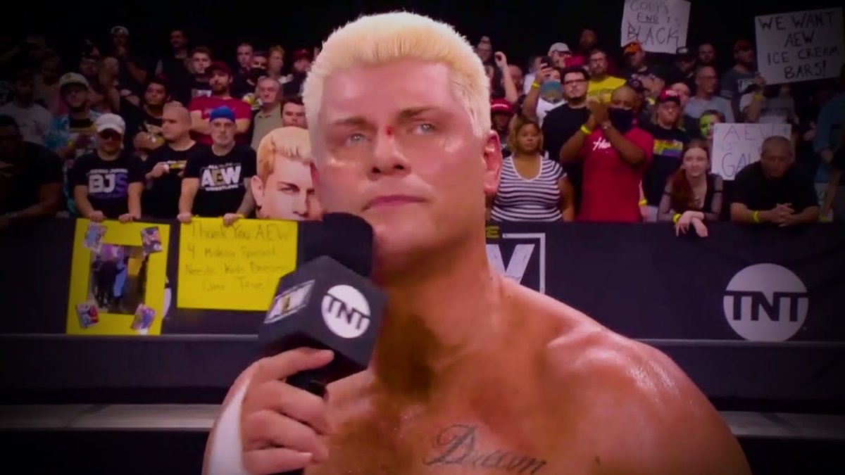 10 Wrestling Promos Wrestlers Regret