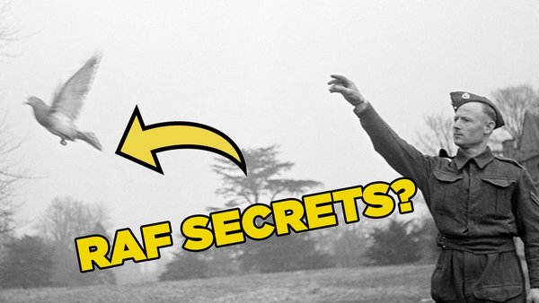 RAF secrets