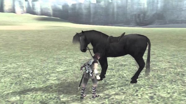 Shadow of the Colossus (Import)