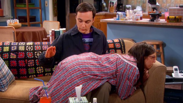 Big Bang Theory Amy Sheldon