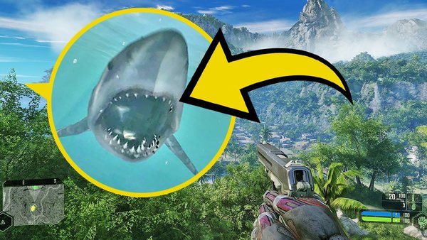 crysis Shark attack