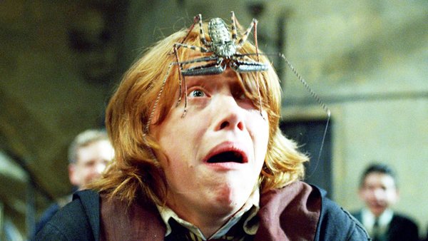 Harry Potter Ron Weasley